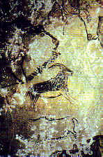 Grotte de Niaux prehistoric cave paintings in Cathar pilgrimage tour