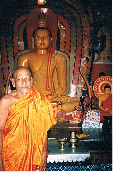 Buddhist monk in traditional robes, Sri Lanka